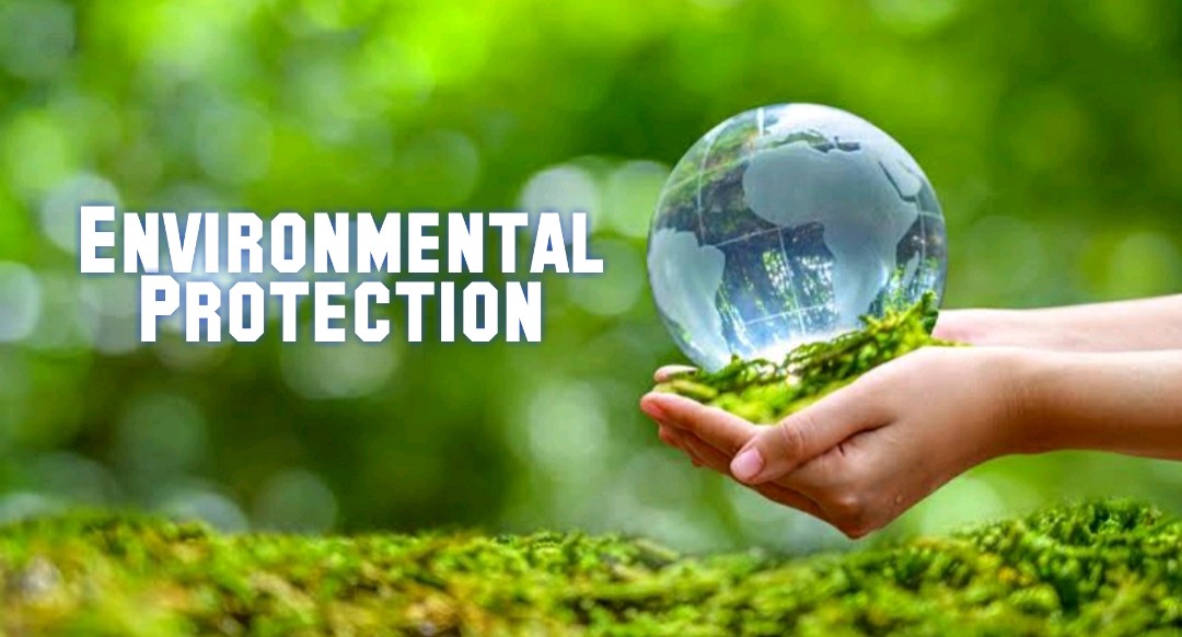 Environmental Protection: Safeguarding Our Planet for Future Generations