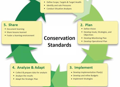 Conservation strategies