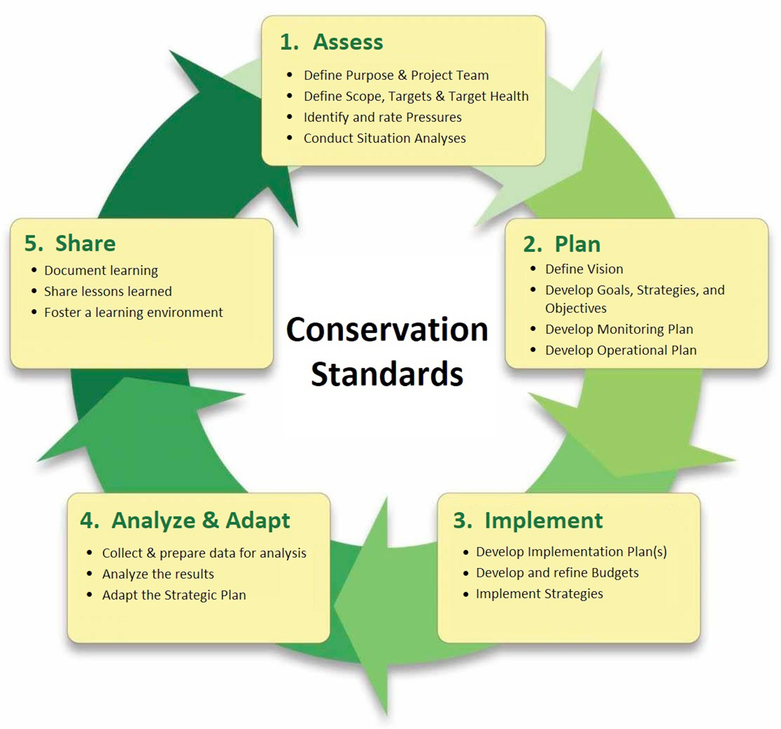 Conservation Strategies: Preserving Our Natural Heritage